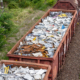 Above view of railway cargo train wagon filled by old rusty black metal scrap garbage forfactory plant recycling. Steel waste collecting, disposal transportation logistics. Environmental protection.